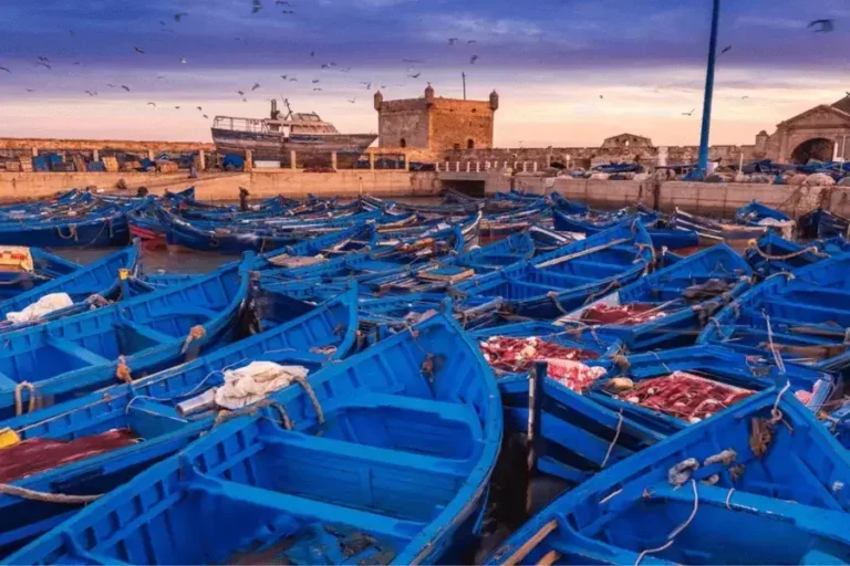 Excursion d’une journée à Essaouira